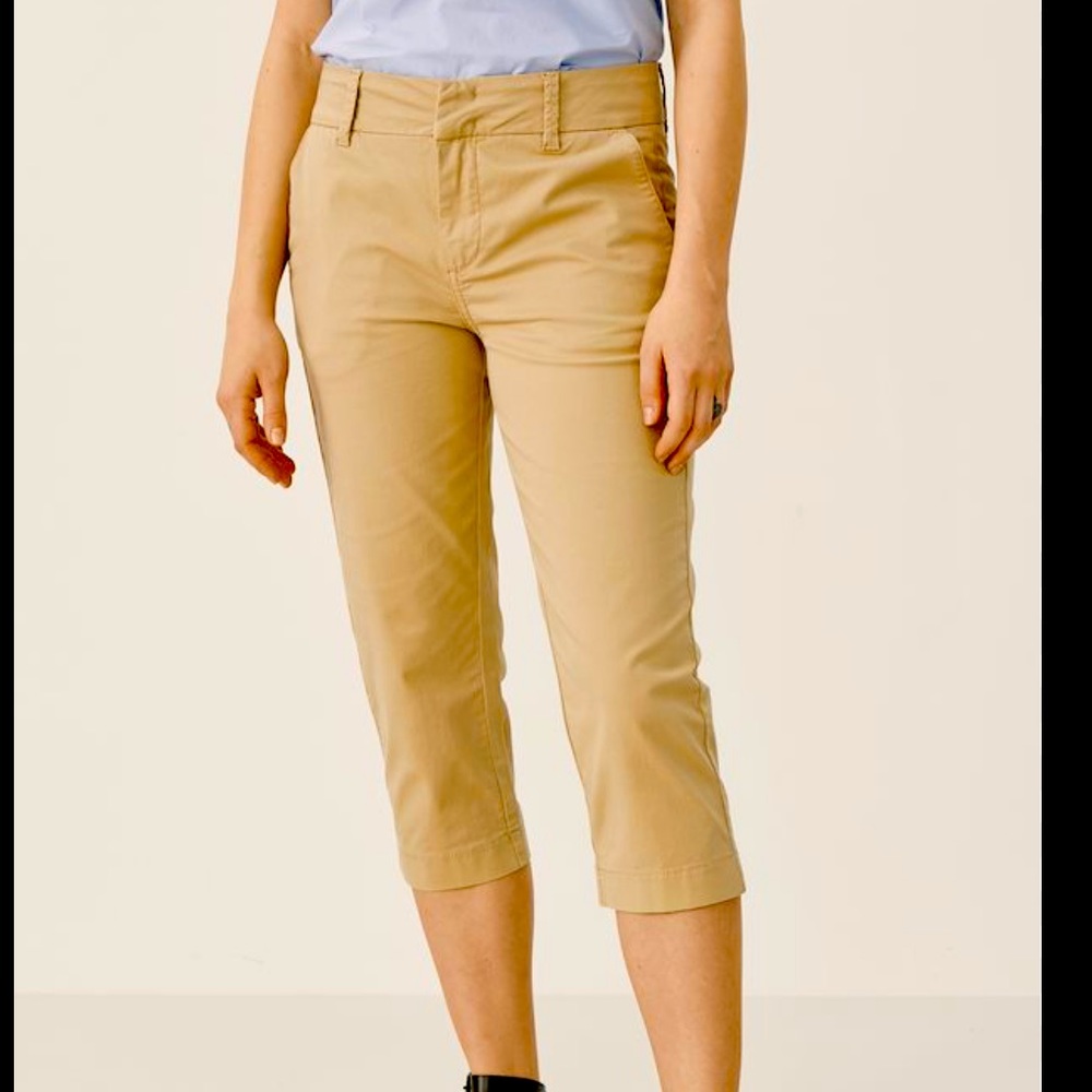 Capri pants by American Eagle size 0